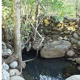 De Caldera Hot Springs heeft 4 natuurlijke thermale baden van verschillende temperaturen